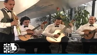 María Canela, Jaime Uribe Y El Grupo Seresta - Video