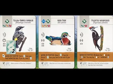 [윙스팬] 최고로 강력한 조합 147점!! [Wingspan] Best Powerful Combination 147Points!!