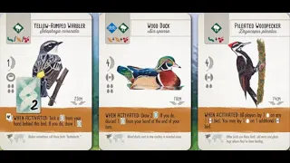 [윙스팬] 최고로 강력한 조합 147점!! [Wingspan] Best Powerful Combination 147Points!!