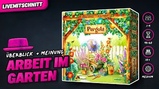 PERGOLA - Brettspiel - Der Pile ist geil