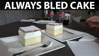 Road trip with Model Y to Slovenia part 8