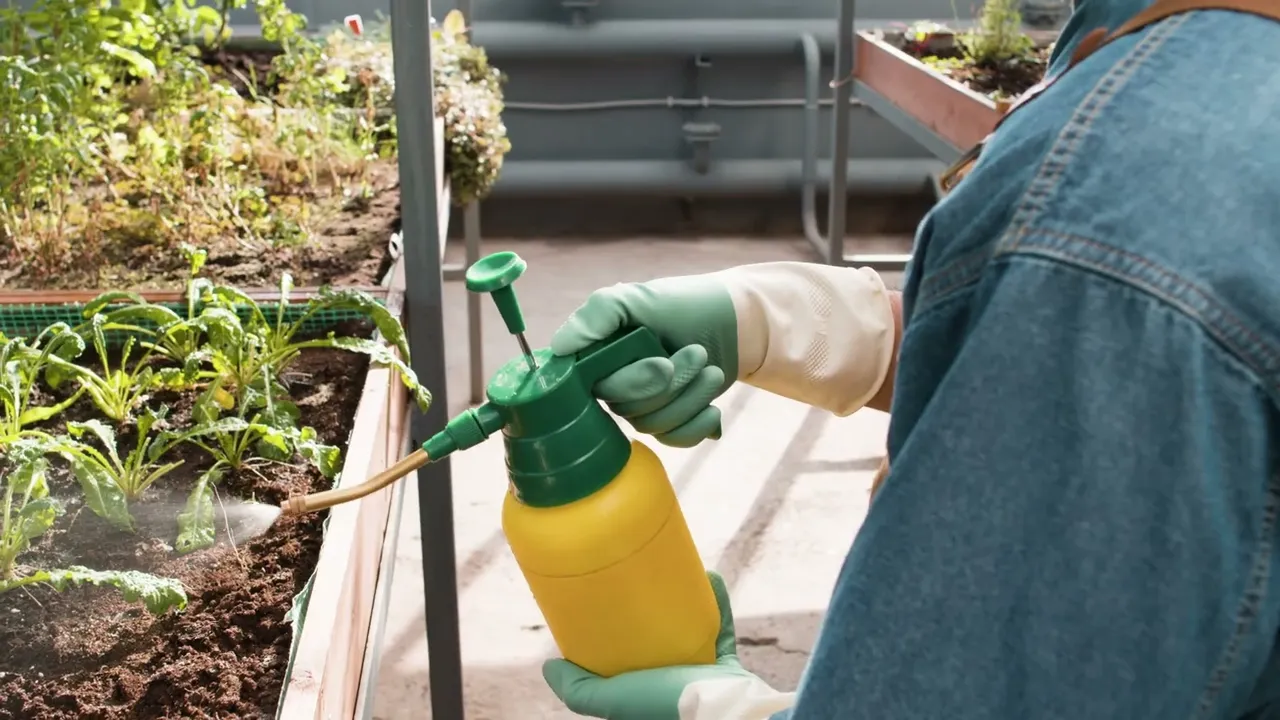 Video de Buenos Aires Farmers