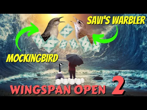 Keep Your Head In The Game: Wingspan Open 2 Vs KevinJayHawk Game 3 (Wingspan Board Game Tournament)