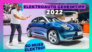 Der "Ora Cat": Großer Akku - Premium Interieur - kleiner Preis.