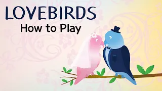 Lovebirds Instructional Video
