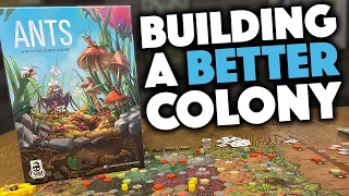 ANTS - We Just Played It!