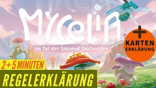 Mycelia Regeln Anleitung Regelvideo - Brettspiel - Deck Builder