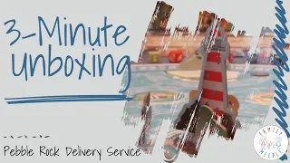 Pebble Rock Delivery Service - 3-Minute Unboxing