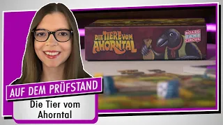 Spiel doch mal DIE TIERE VOM AHORNTAL! - Brettspiel Rezension Meinung Test #408