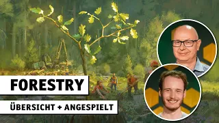 Forestry | Übersicht + Angespielt | Pegasus Spiele