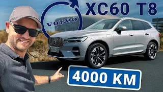 Essai VOLVO XC60 T8 RECHARGE : le sénior qui frappe fort !