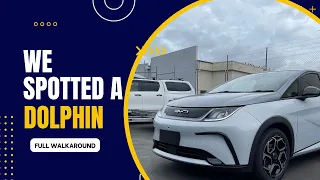 BYD Dolphin - First Australasian walkthrough!