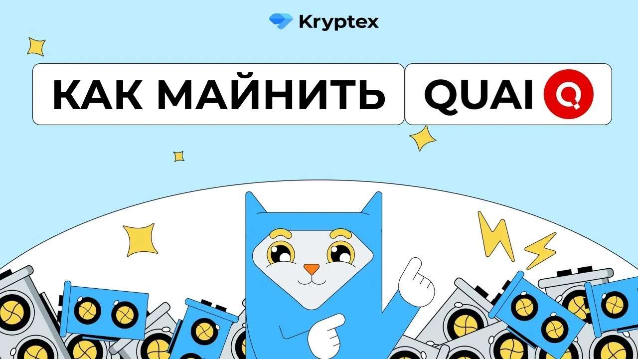 Видеогайды