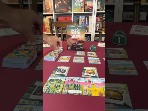 Super happy with how this turned out#boardgames #gaming #games #tabletop #bigsur #california