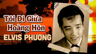 TÔI ĐI GIỮA HOÀNG HÔN