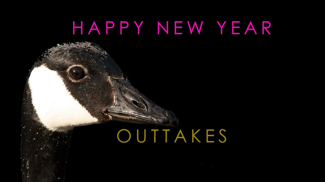 Happy New Year - Outtakes