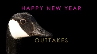Happy New Year - Outtakes