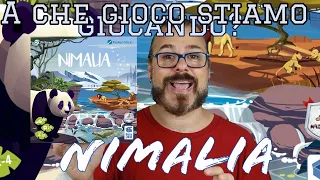 L'habitat perfetto per ogni animale? NIMALIA! A che gioco stiamo giocando!