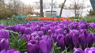 #16 Tesla Model S road trips: Easter 2015 part 1