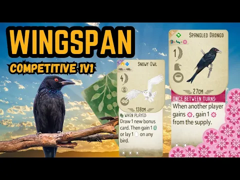Wingspan Oceania | Dangerous Drongo