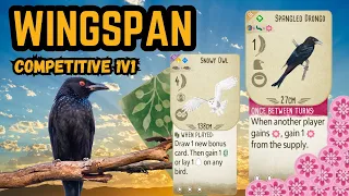 Wingspan Oceania | Dangerous Drongo