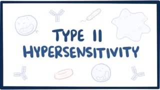 Type II hypersensitivity (cytotoxic hypersensitivity) - causes, symptoms, & pathology Type II hypersensitivity (cytotoxic hypersensitivity) - causes, symptoms, & pathology