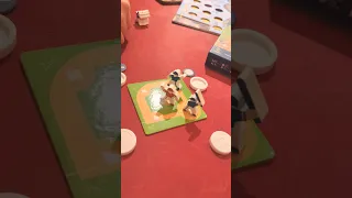 Hits & Outs #boardgamelife #boardgamegeek #boardgame