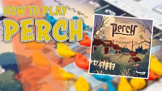 Perch | How To Play | Learn To Play in 8 Minutes!