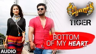 Tiger Kannada Movie Songs | Bottom Of My Heart Full Song | Pradeep, Madhurima | Arjun Janya