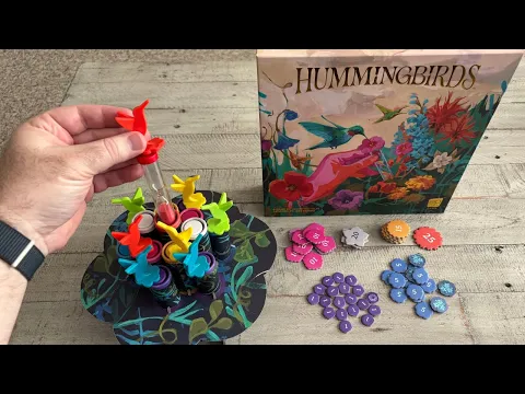 Hummingbirds Board Game Review