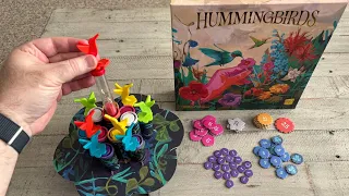 Hummingbirds Board Game Review