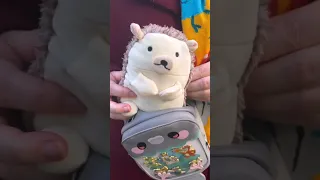 Park Life: A Trick-Taking Game in a Hedgehog!