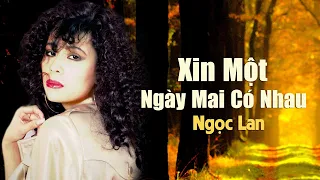 XIN MỘT NGÀY MAI CÓ NHAU