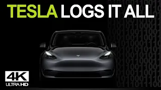Tesla Model Y - it's all about YOUR data!