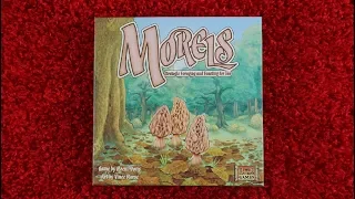 Morels - Applied Mechanics with Nettersplays