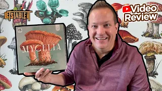 Mycelia - Review & How to Play