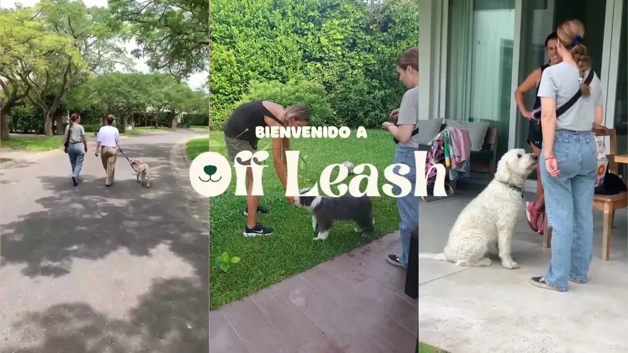 Video de off leash