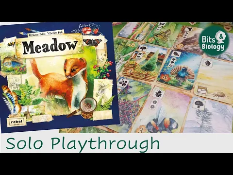Meadow Solo Playthrough and Thoughts | Bits & Biology