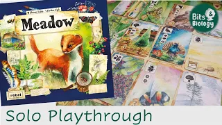 Meadow Solo Playthrough and Thoughts | Bits & Biology