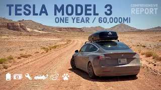 Tesla Model 3 Performance 1 Year / 60k Mile Comprehensive Ownership Report
