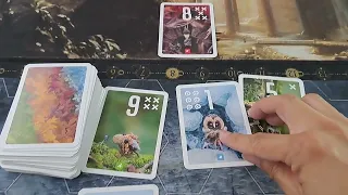 Pixies (Episode 111) 玩一次 by Board Game Base