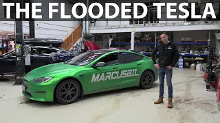 Elbilmek checking the issues with Tesla Model S Plaid