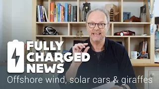 Offshore wind, solar cars and giraffes | Fully Charged News
