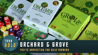 🇬🇧 Orchard & Grove | how to play and review