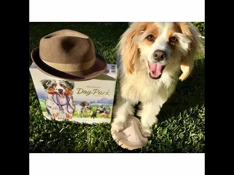 Dog Park Board Game Unboxing