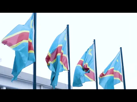 🇨🇩 Mission économique à Kinshasa : l'APF & la FEC ouvrent la voie à de nouvelles opportunités d’affaires