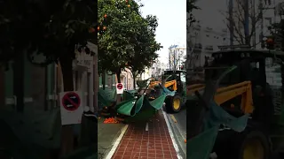 Incredible Machine Shakes Oranges From Trees 😍