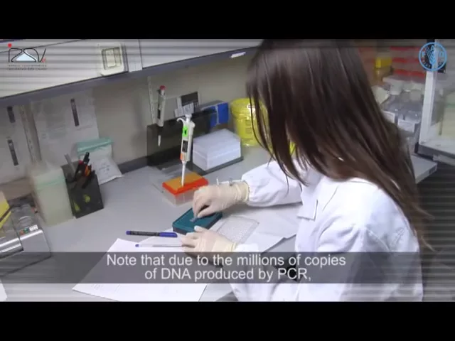 Thumbnail for YouTube video