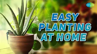 Easy planting at home | Nani maa ke nuskhe | Saregama Podcast