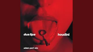 Houdini (Adam Port Mix)